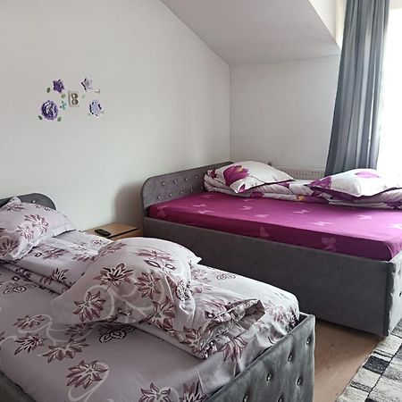 Casa Emilia Otel Vatra Dornei Dış mekan fotoğraf