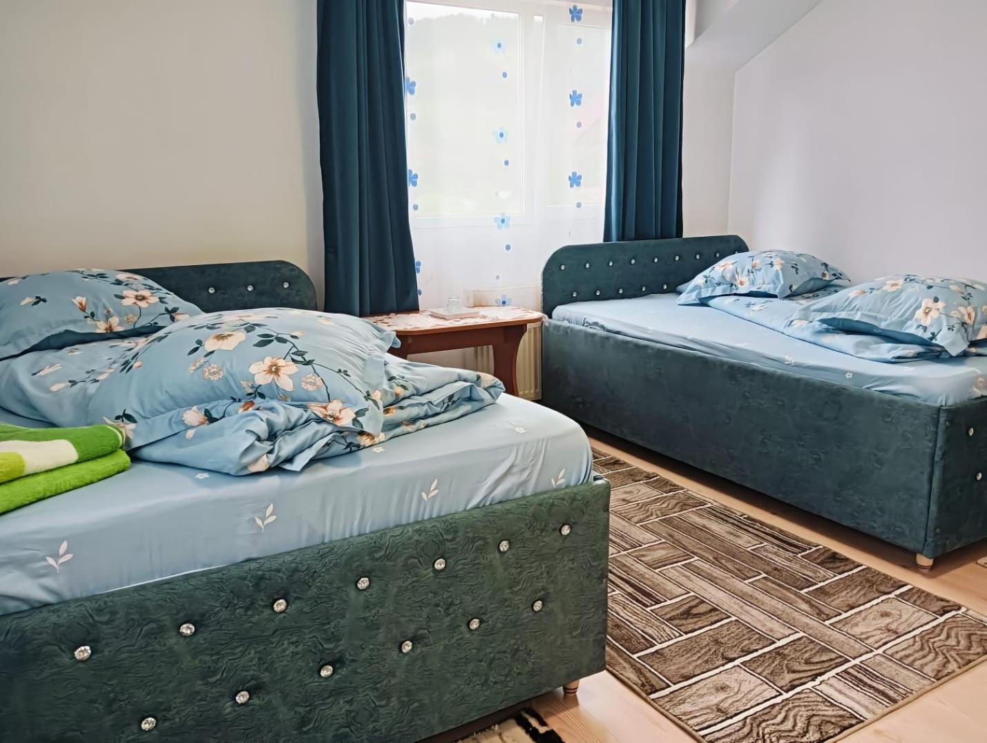 Casa Emilia Otel Vatra Dornei Dış mekan fotoğraf