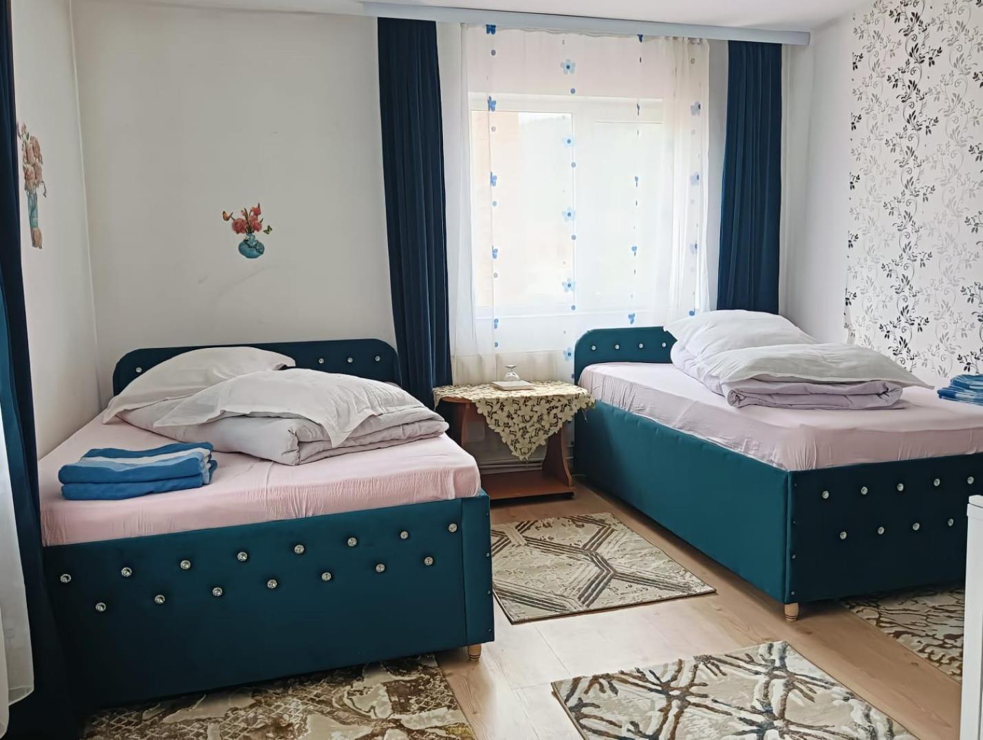 Casa Emilia Otel Vatra Dornei Dış mekan fotoğraf