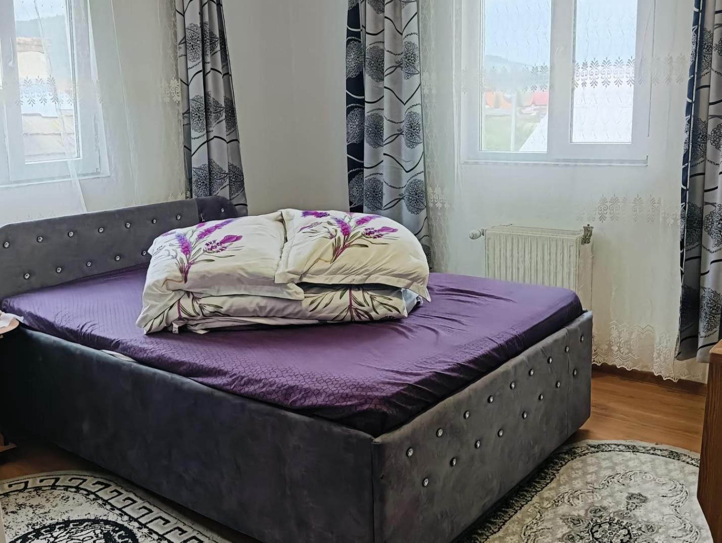 Casa Emilia Otel Vatra Dornei Dış mekan fotoğraf