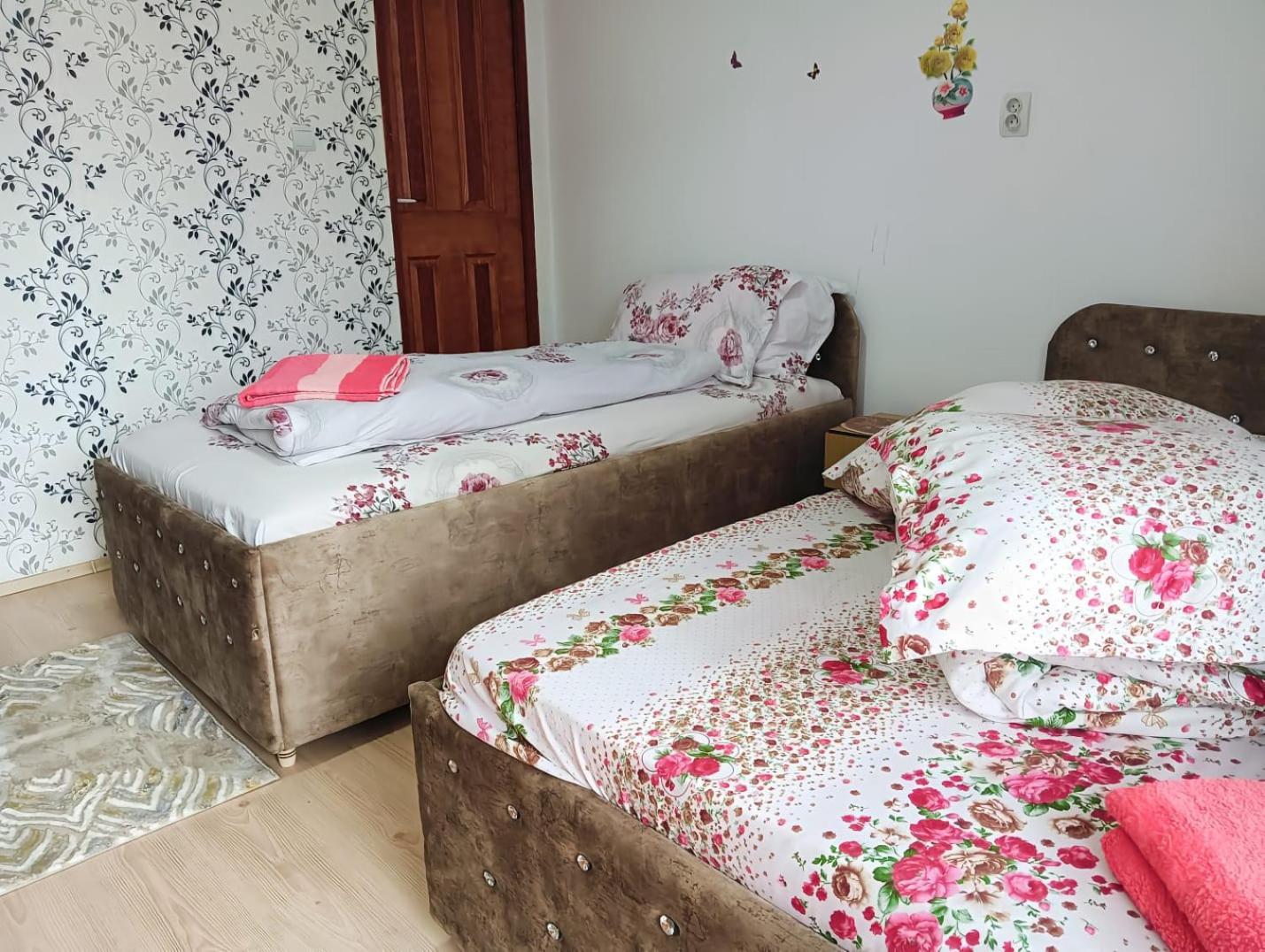 Casa Emilia Otel Vatra Dornei Dış mekan fotoğraf