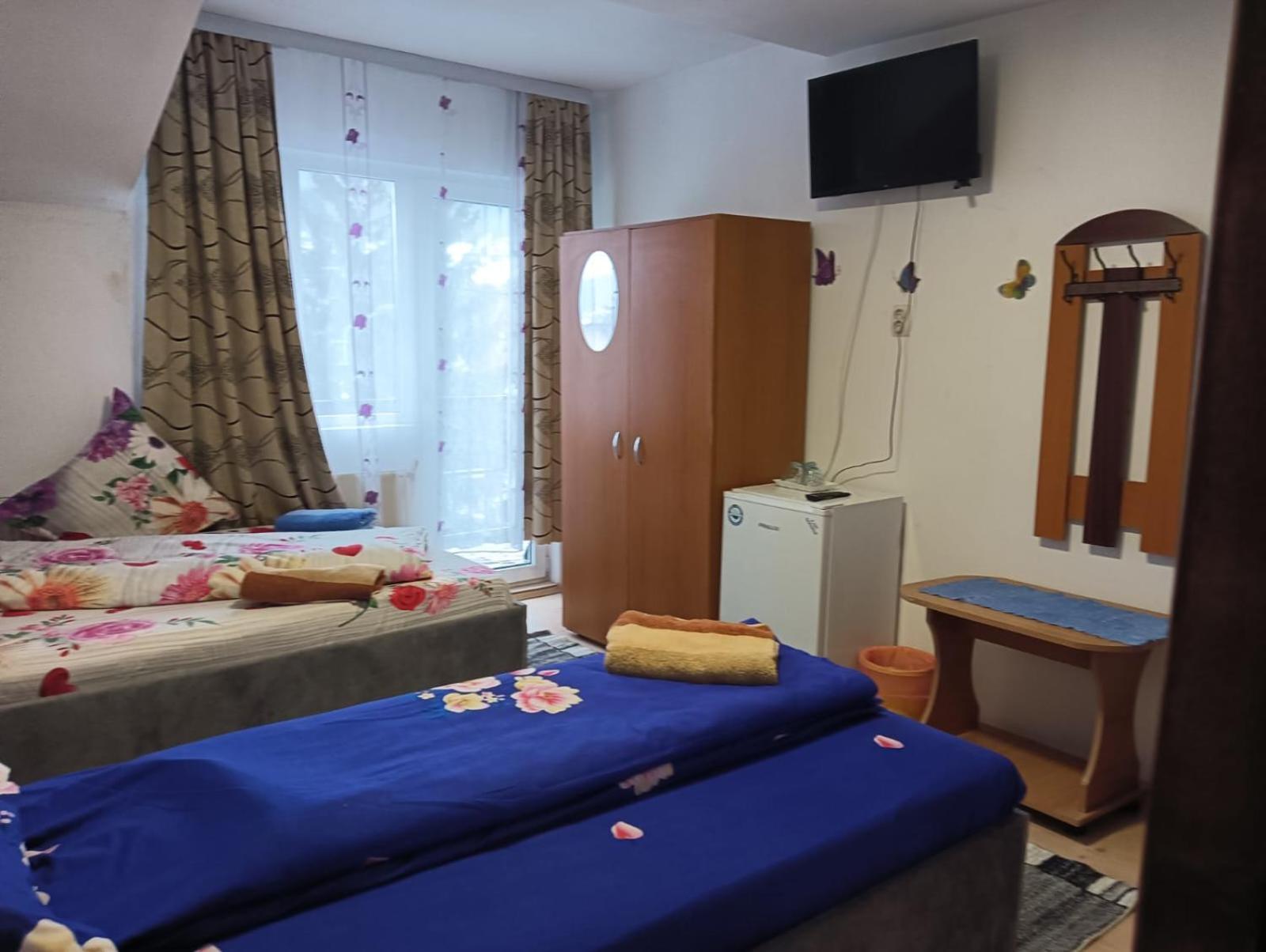 Casa Emilia Otel Vatra Dornei Dış mekan fotoğraf