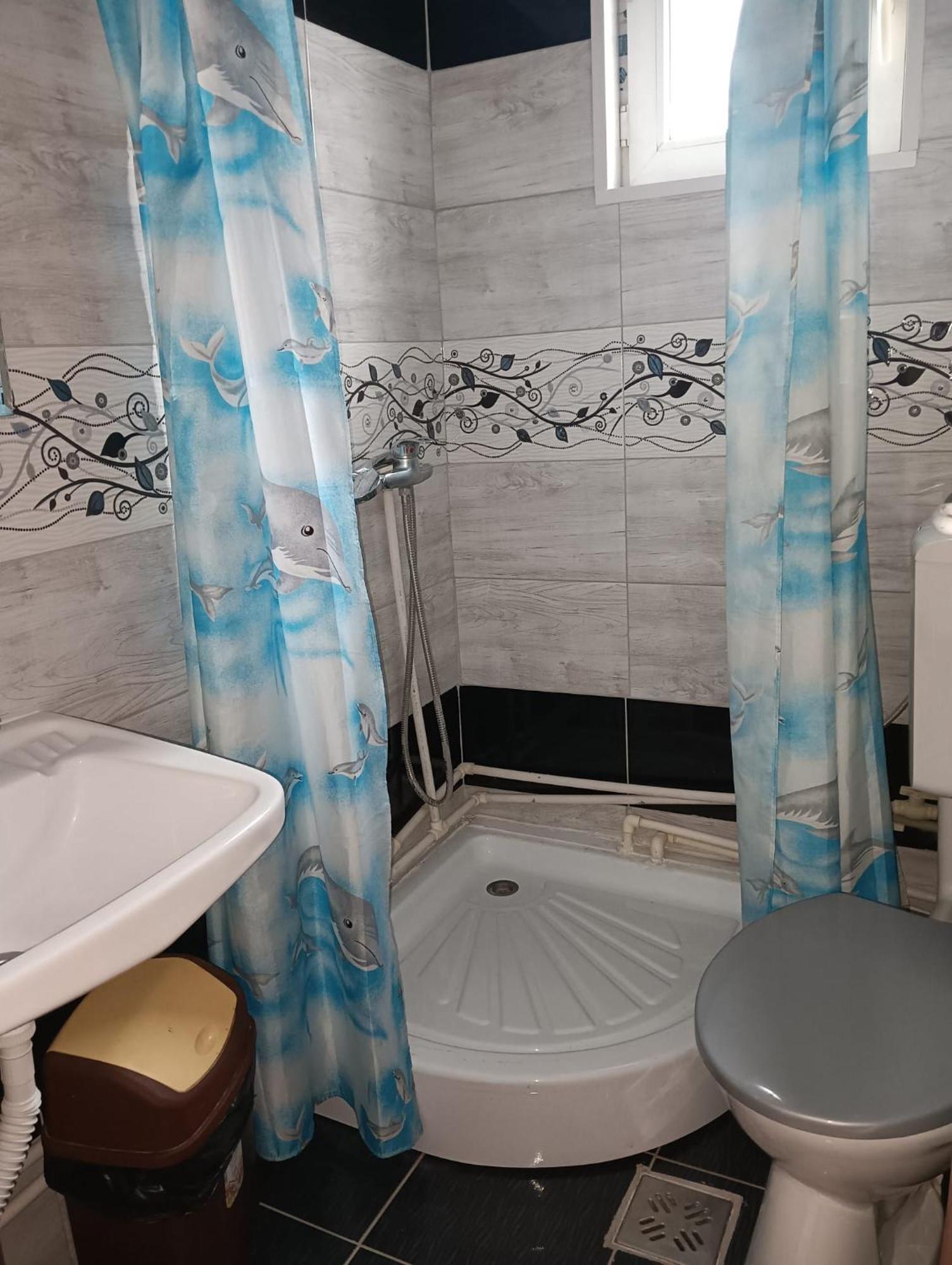 Casa Emilia Otel Vatra Dornei Oda fotoğraf