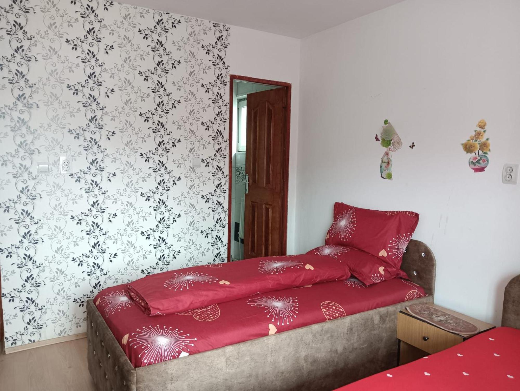 Casa Emilia Otel Vatra Dornei Dış mekan fotoğraf