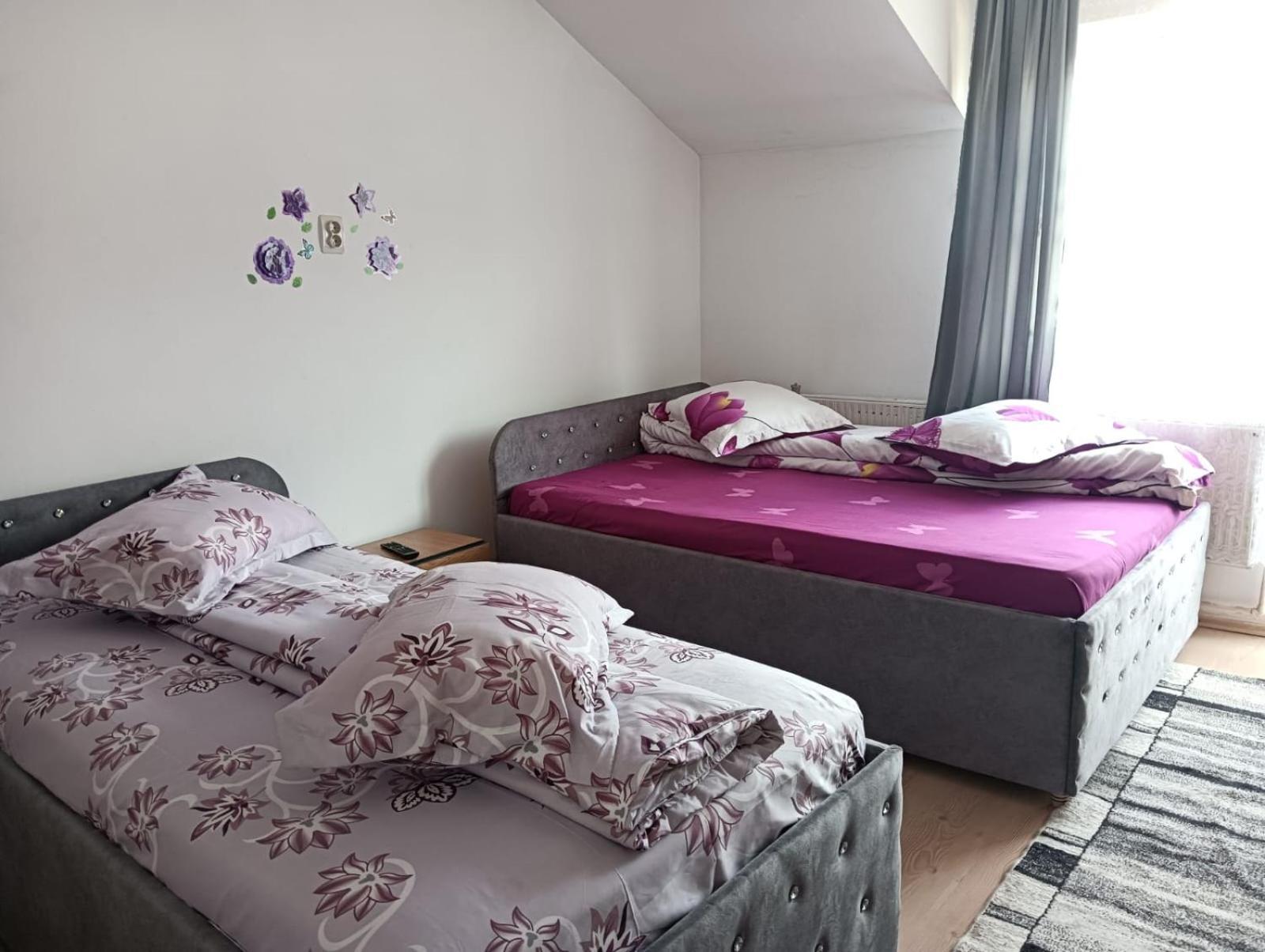 Casa Emilia Otel Vatra Dornei Dış mekan fotoğraf